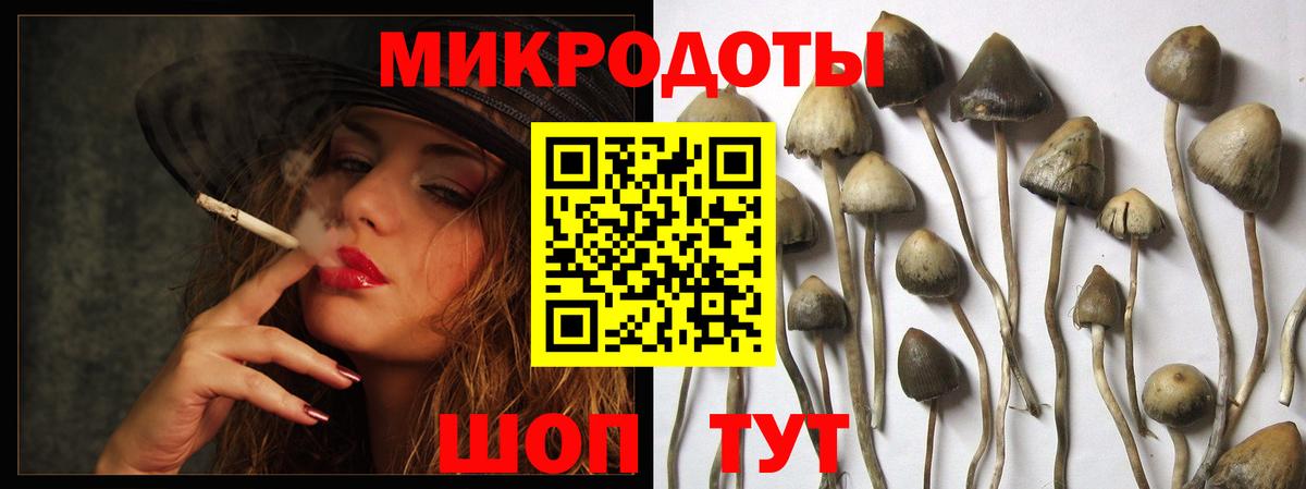 Галлюциногенные грибы мицелий  Вход с VPN  Мытищи  Галлюциногенные грибы Cubensis 